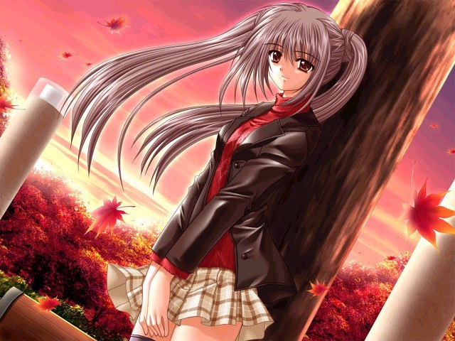 User Photo