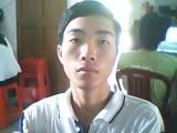 hoatulip18