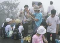 waya_tom