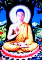 nguyenductuan