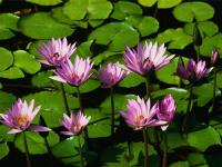 moveem_h83@yahoo.com.vn