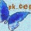 pk_cen