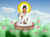 vuthanhthuy