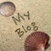 blogphuong