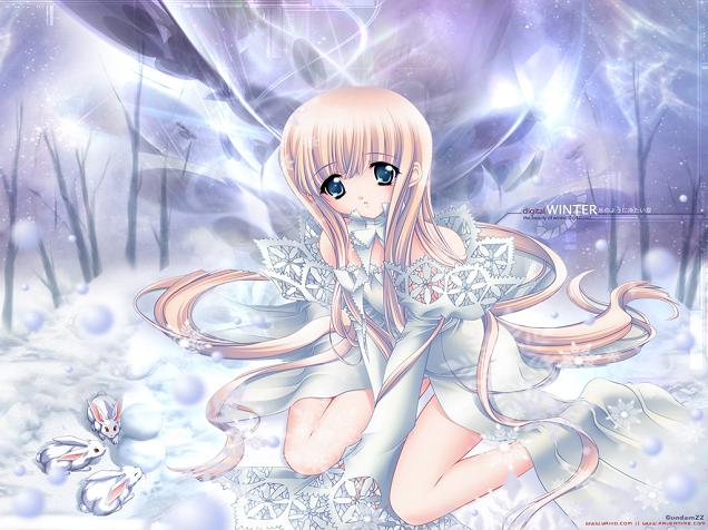 User Photo