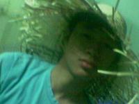 thanhfan