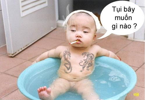 User Photo