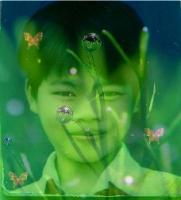 dinhtienhung