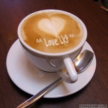 User Photo