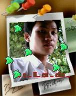 alicuche