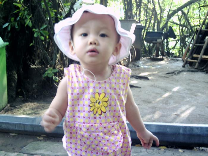 User Photo
