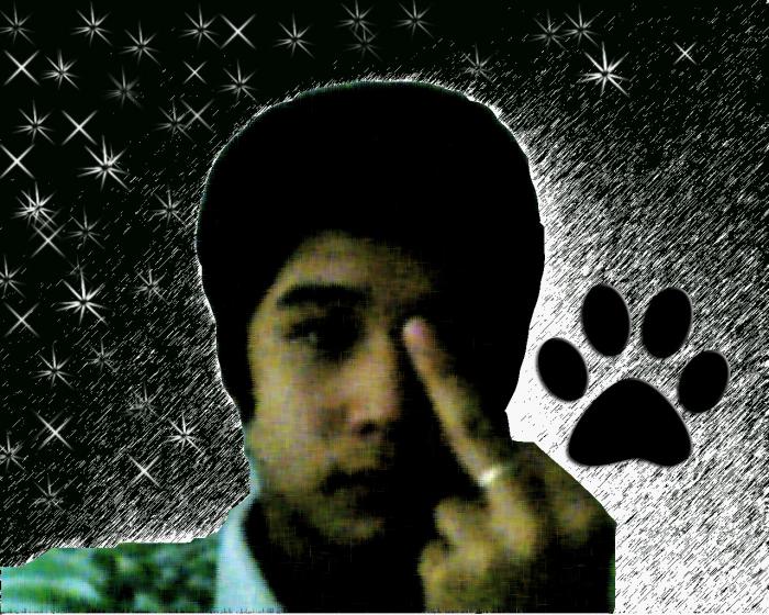 User Photo