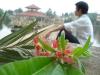 phamtruong
