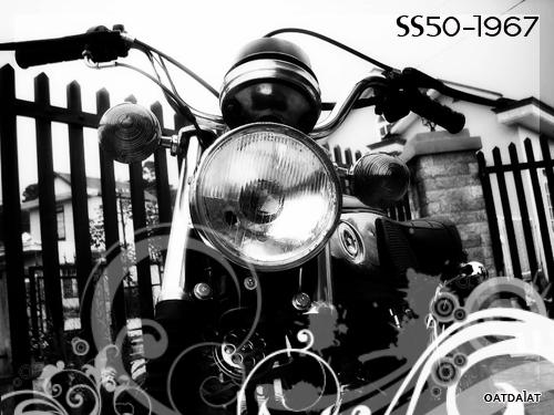 User Photo