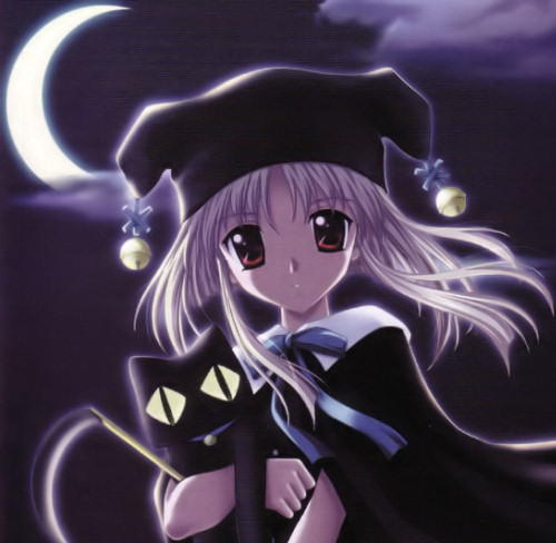 User Photo