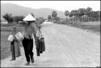 dinhhoang