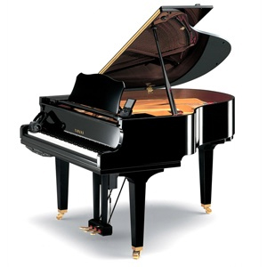 User Photo
