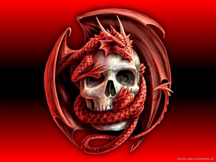 User Photo