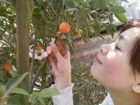 nhuphuong_87