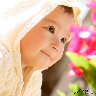 User Photo