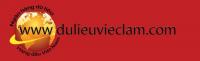 http://www.dulieuvieclam.com