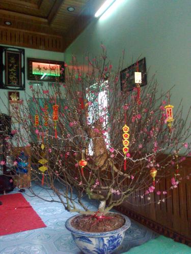 User Photo