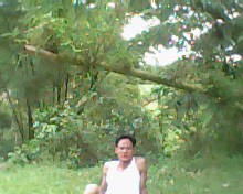 User Photo