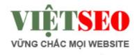 vietsnets1