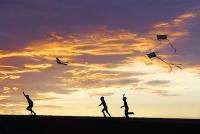 vietnamkites