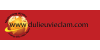 dulieuvieclam