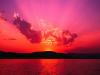 quynhnga@yahoo.com