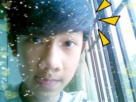 User Photo