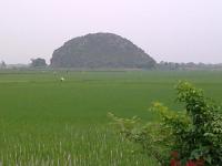 sachviet