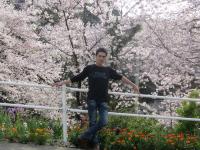 toisecoquen_tinhlagi@yahoo.c