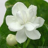 chuyenvn4@yahoo.com.vn