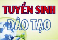 tshuonghn