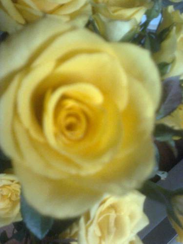 User Photo