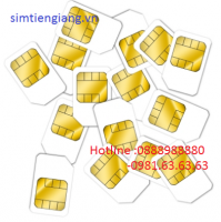 Tuan843843