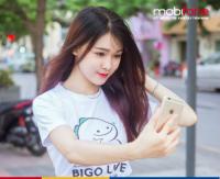hongphong1412