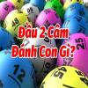 dau2camthantaiplus