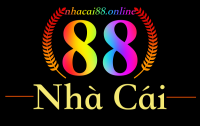 lixi88