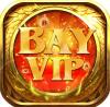 bayvipvb