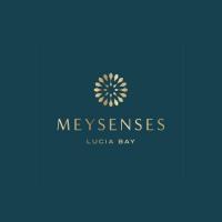 meysenseslucia