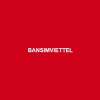 bansimviettelvn