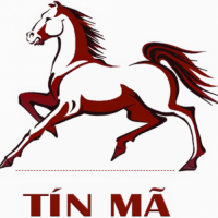 tinma2021