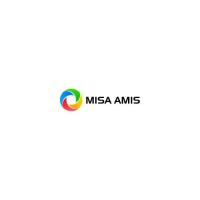 amismisa