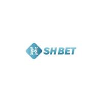 shbet7