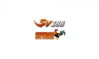 svv-388