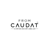 fromcaudatcoffee