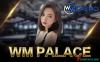 wmpalacefun88z